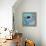 Azure Tropical Fish I-Paul Brent-Framed Stretched Canvas displayed on a wall