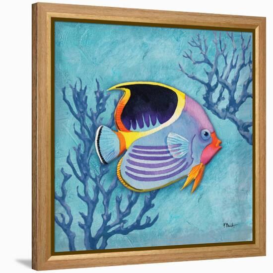 Azure Tropical Fish I-Paul Brent-Framed Stretched Canvas