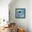 Azure Tropical Fish I-Paul Brent-Framed Stretched Canvas displayed on a wall