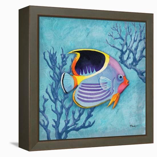 Azure Tropical Fish I-Paul Brent-Framed Stretched Canvas