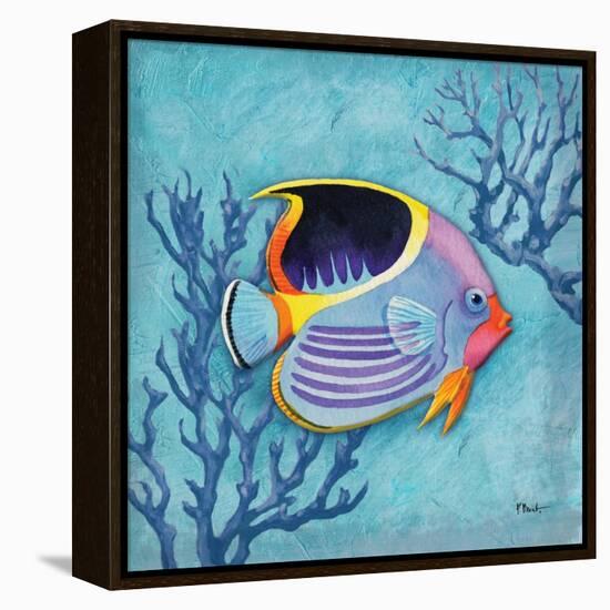 Azure Tropical Fish I-Paul Brent-Framed Stretched Canvas