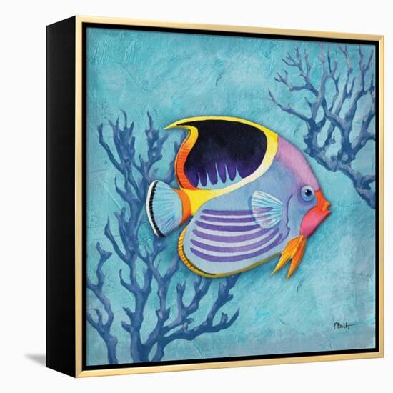 Azure Tropical Fish I-Paul Brent-Framed Stretched Canvas
