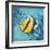 Azure Tropical Fish II-Paul Brent-Framed Art Print