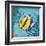 Azure Tropical Fish II-Paul Brent-Framed Art Print