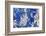 Azurite / Chessylite, soft, deep blue copper mineral-Philippe Clement-Framed Photographic Print