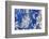 Azurite / Chessylite, soft, deep blue copper mineral-Philippe Clement-Framed Photographic Print