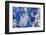 Azurite / Chessylite, soft, deep blue copper mineral-Philippe Clement-Framed Photographic Print