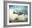 B-17 Flying Fortress Bomber-null-Framed Art Print