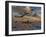 B-17 Flying Fortress Bombers and P-51 Mustangs in Flight-Stocktrek Images-Framed Photographic Print