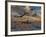 B-17 Flying Fortress Bombers and P-51 Mustangs in Flight-Stocktrek Images-Framed Photographic Print