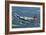 B-17 Flying Fortress Flying over Concord, California-Stocktrek Images-Framed Photographic Print