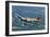 B-17 Flying Fortress Flying over Concord, California-Stocktrek Images-Framed Photographic Print