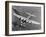 B-17 Flying Fortress in Flight-null-Framed Photographic Print