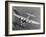 B-17 Flying Fortress in Flight-null-Framed Photographic Print