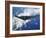 B-2 Spirit-Stocktrek Images-Framed Photographic Print