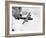 B-24 Liberator Flying-Philip Gendreau-Framed Photographic Print