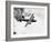 B-24 Liberator Flying-Philip Gendreau-Framed Photographic Print