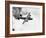 B-24 Liberator Flying-Philip Gendreau-Framed Photographic Print