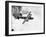 B-24 Liberator Flying-Philip Gendreau-Framed Photographic Print