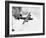 B-24 Liberator Flying-Philip Gendreau-Framed Photographic Print