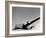 B-24 Liberator in Flight-null-Framed Photographic Print