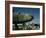 B-24's in Australia-George Silk-Framed Photographic Print