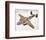 B-25H Mitchell Bomber Layout-null-Framed Art Print