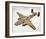 B-25H Mitchell Bomber Layout-null-Framed Art Print