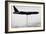 B-52 Bomber-Science Source-Framed Giclee Print