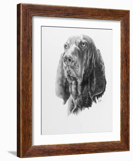 B and T Coonhound-Barbara Keith-Framed Giclee Print