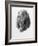 B and T Coonhound-Barbara Keith-Framed Giclee Print