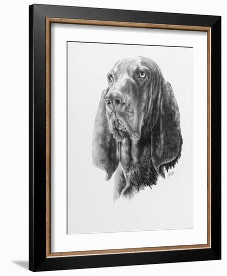 B and T Coonhound-Barbara Keith-Framed Giclee Print