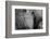 B and W No. 2-Hilde Ghesquiere-Framed Photographic Print