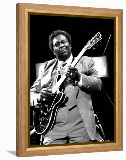 B.B. King, Capital Jazz, Knebworth, 1982-Brian O'Connor-Framed Premier Image Canvas