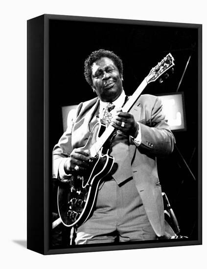 B.B. King, Capital Jazz, Knebworth, 1982-Brian O'Connor-Framed Premier Image Canvas