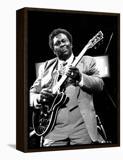 B.B. King, Capital Jazz, Knebworth, 1982-Brian O'Connor-Framed Premier Image Canvas