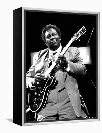 B.B. King, Capital Jazz, Knebworth, 1982-Brian O'Connor-Framed Premier Image Canvas