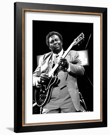 B.B. King, Capital Jazz, Knebworth, 1982-Brian O'Connor-Framed Photographic Print