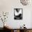 B.B. King-John Shearer-Framed Premier Image Canvas displayed on a wall