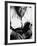 B.B. King-John Shearer-Framed Premium Photographic Print