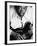 B.B. King-John Shearer-Framed Premium Photographic Print