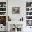 B.C., a 3-Year-Old Alpaca, at the Nu Leafe Alpaca Farm in West Berlin, Vermont-Toby Talbot-Framed Photographic Print displayed on a wall