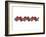 B-DNA Molecule-Visual Science-Framed Photographic Print