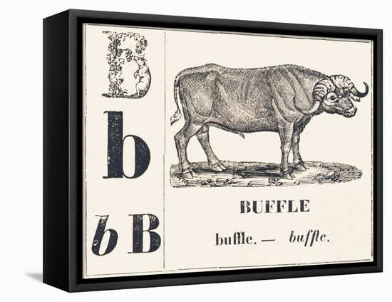B for Buffalo, 1850 (Engraving)-Louis Simon (1810-1870) Lassalle-Framed Premier Image Canvas