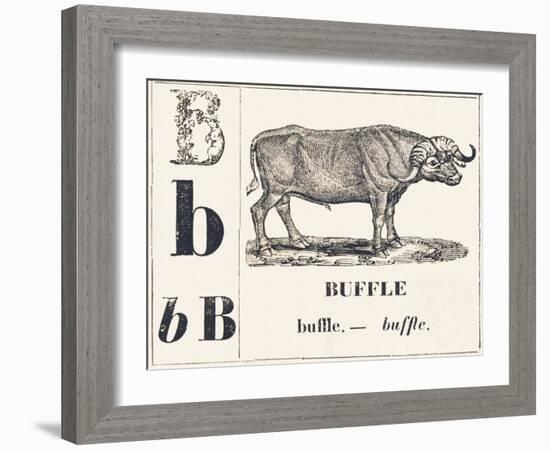 B for Buffalo, 1850 (Engraving)-Louis Simon (1810-1870) Lassalle-Framed Giclee Print