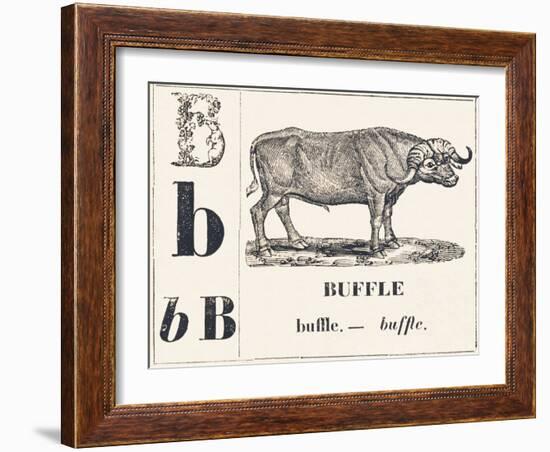 B for Buffalo, 1850 (Engraving)-Louis Simon (1810-1870) Lassalle-Framed Giclee Print