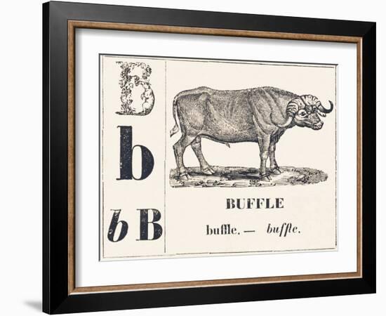 B for Buffalo, 1850 (Engraving)-Louis Simon (1810-1870) Lassalle-Framed Giclee Print