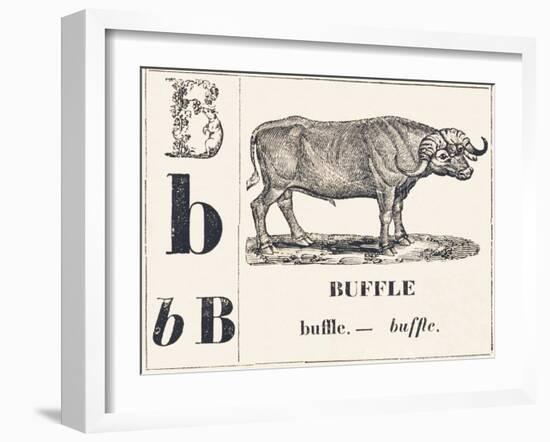 B for Buffalo, 1850 (Engraving)-Louis Simon (1810-1870) Lassalle-Framed Giclee Print