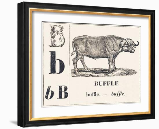 B for Buffalo, 1850 (Engraving)-Louis Simon (1810-1870) Lassalle-Framed Giclee Print