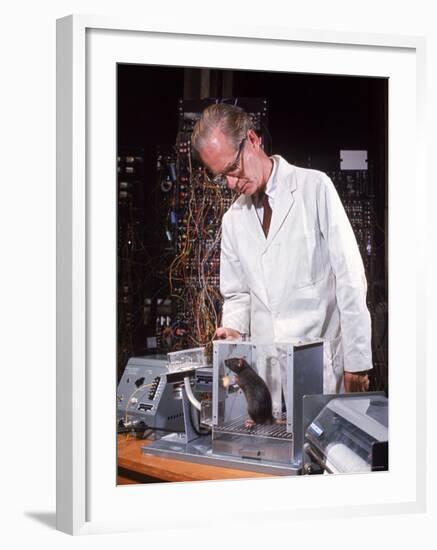 B. Frederic Skinner at Harvard Training Rat in "Skinner Box" to Press Lever and Be Rewarded-Nina Leen-Framed Premium Photographic Print